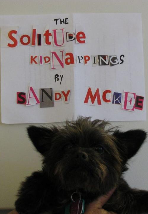 Cover of the book The Solitude Kidnappings by Saundra McKee, Saundra McKee