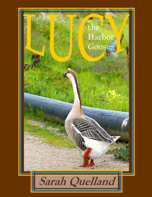 Cover of the book Lucy the Harbor Goose by Sarah Quelland, Sarah Quelland