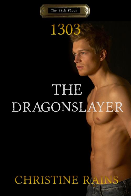 Cover of the book The Dragonslayer by Christine Rains, Kobo