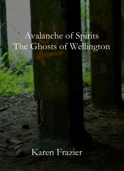 Cover of the book Avalanche of Spirits: The Ghosts of Wellington by Karen Frazier, Karen Frazier