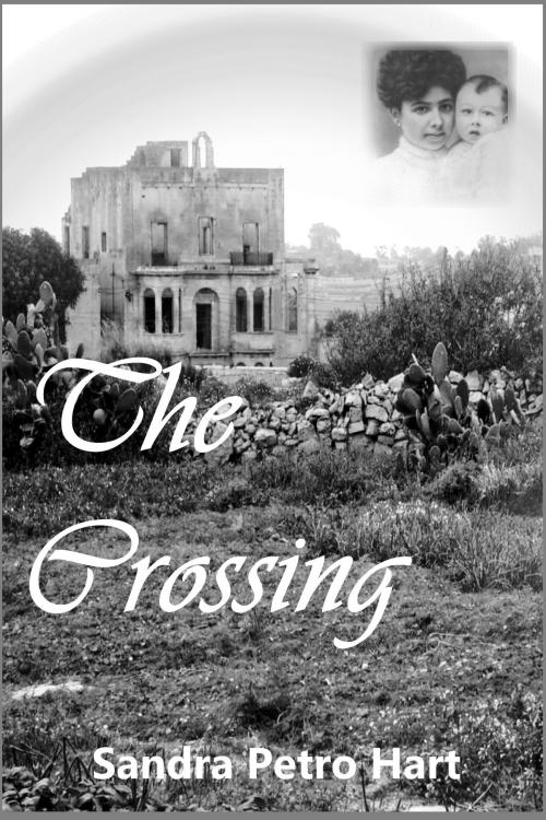Cover of the book The Crossing by Sandra Petro Hart, Sandra Petro Hart