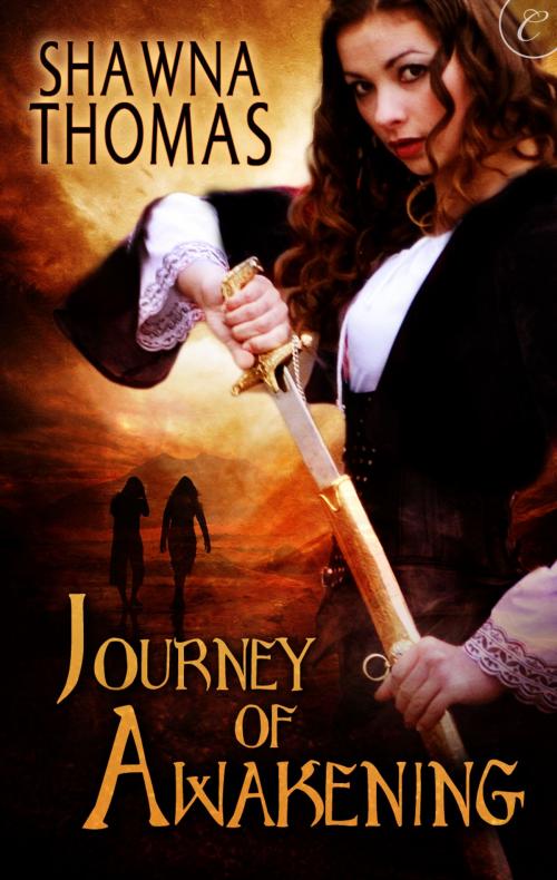 Cover of the book Journey of Awakening by Shawna Thomas, Carina Press