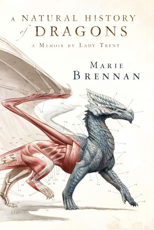 Cover of the book A Natural History of Dragons by Marie Brennan, Tom Doherty Associates