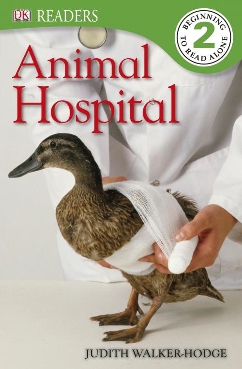 Cover of the book DK Readers L2: Animal Hospital by Judith Walker-Hodge, DK Publishing