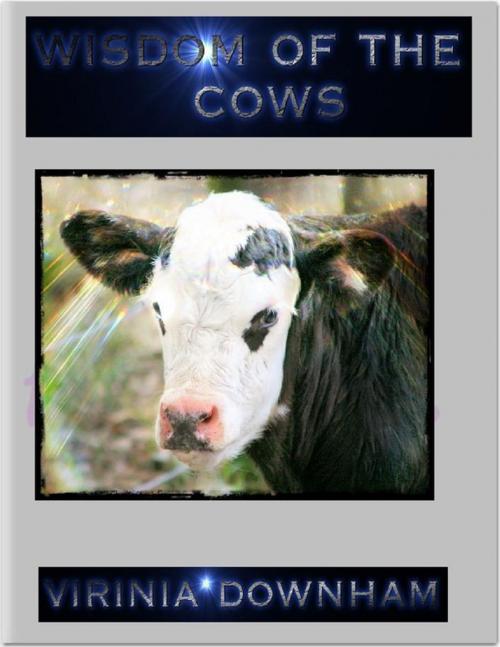 Cover of the book Wisdom of the Cows by Virinia Downham, Lulu.com