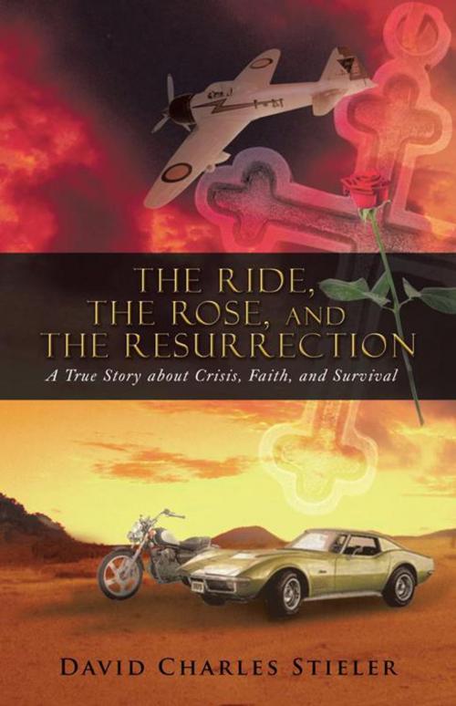 Cover of the book The Ride, the Rose, and the Resurrection by David Charles Stieler, iUniverse