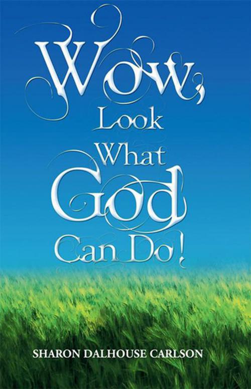 Cover of the book Wow, Look What God Can Do! by Sharon Dalhouse Carlson, Xlibris US