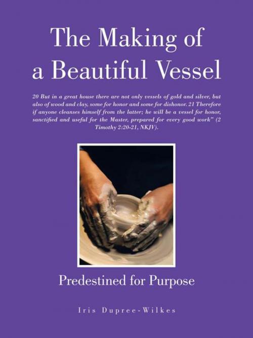 Cover of the book The Making of a Beautiful Vessel by Iris Dupree-Wilkes, AuthorHouse