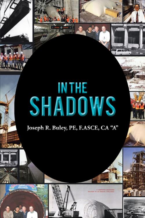 Cover of the book In the Shadows by Joseph R. Buley, AuthorHouse