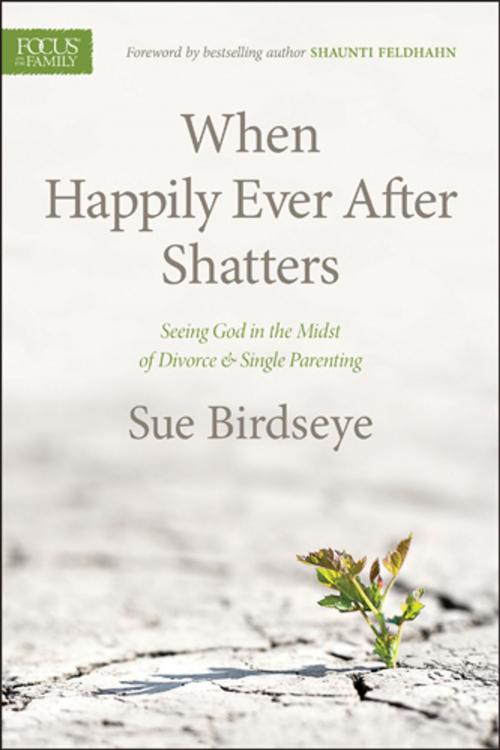 Cover of the book When Happily Ever After Shatters by Sue Birdseye, Focus on the Family