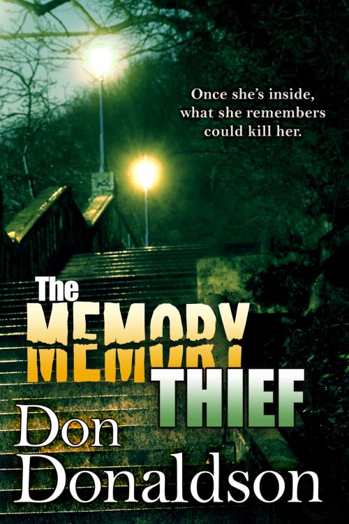 Cover of the book The Memory Thief by Don Donaldson, BelleBooks, Inc.