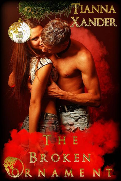 Cover of the book The Broken Ornament by Tianna Xander, eXtasy Books Inc