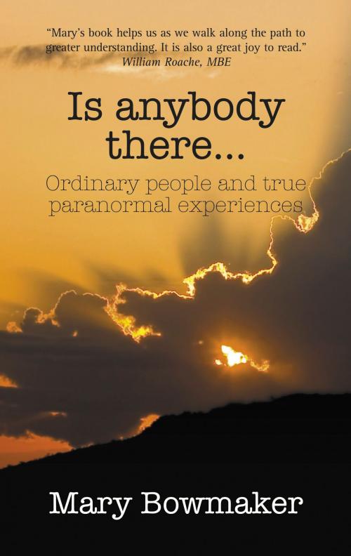 Cover of the book Is Anybody There…Ordinary People and True Paranormal Experiences by Mary Bowmaker, Amolibros