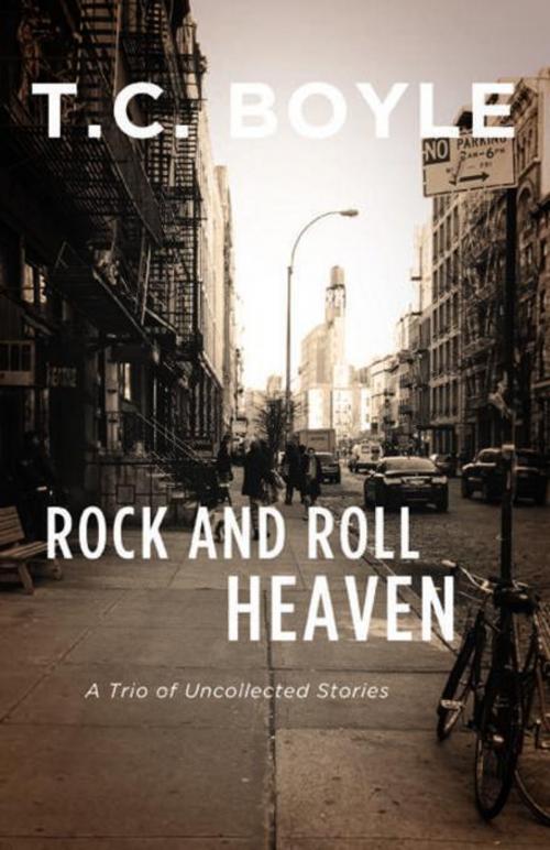 Cover of the book Rock and Rol Heaven by Tom Boyle, Dzanc Books