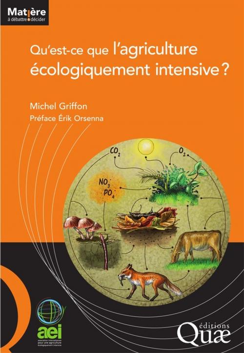 Cover of the book Qu'est-ce que l'agriculture écologiquement intensive ? by Griffon Michel, Quae