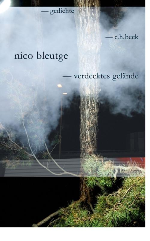 Cover of the book verdecktes gelände by Nico Bleutge, C.H.Beck