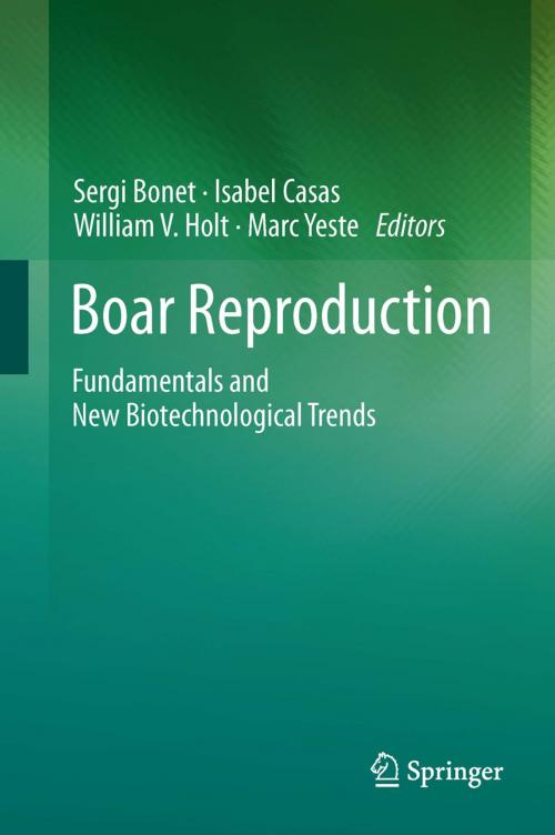 Cover of the book Boar Reproduction by , Springer Berlin Heidelberg