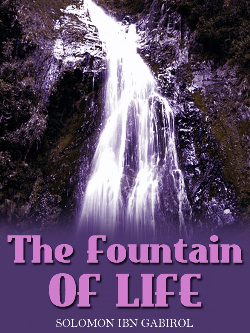 Big bigCover of The Fountain Of Life