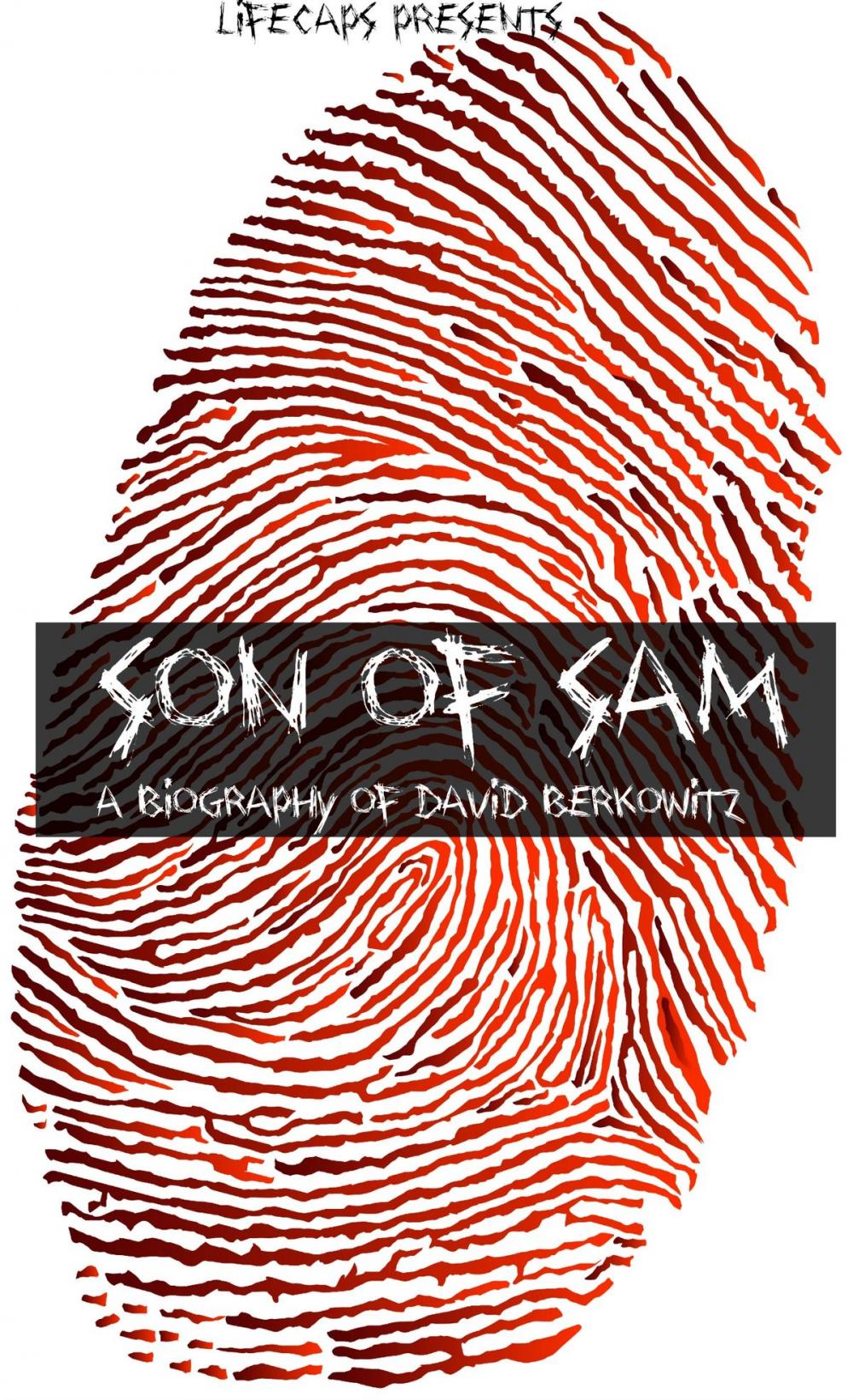 Big bigCover of Son of Sam: A Biography of David Berkowitz