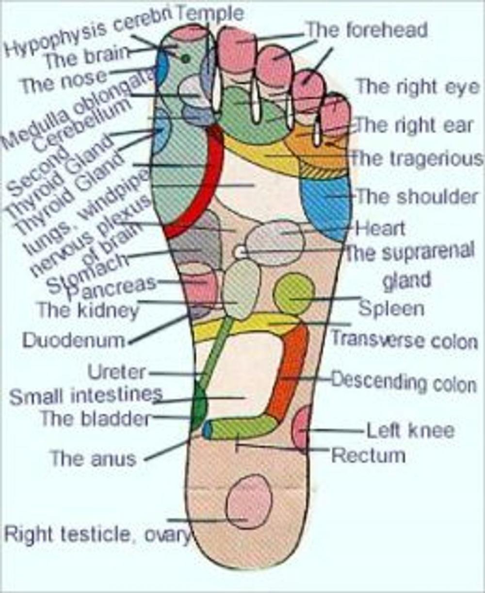 Big bigCover of The Essential Beginners Guide To Acupressure