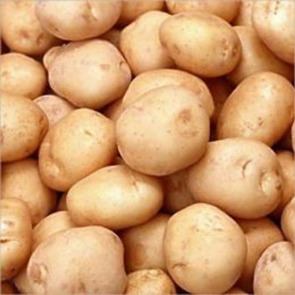 Big bigCover of A Crash Course on How to Grow Potatoes