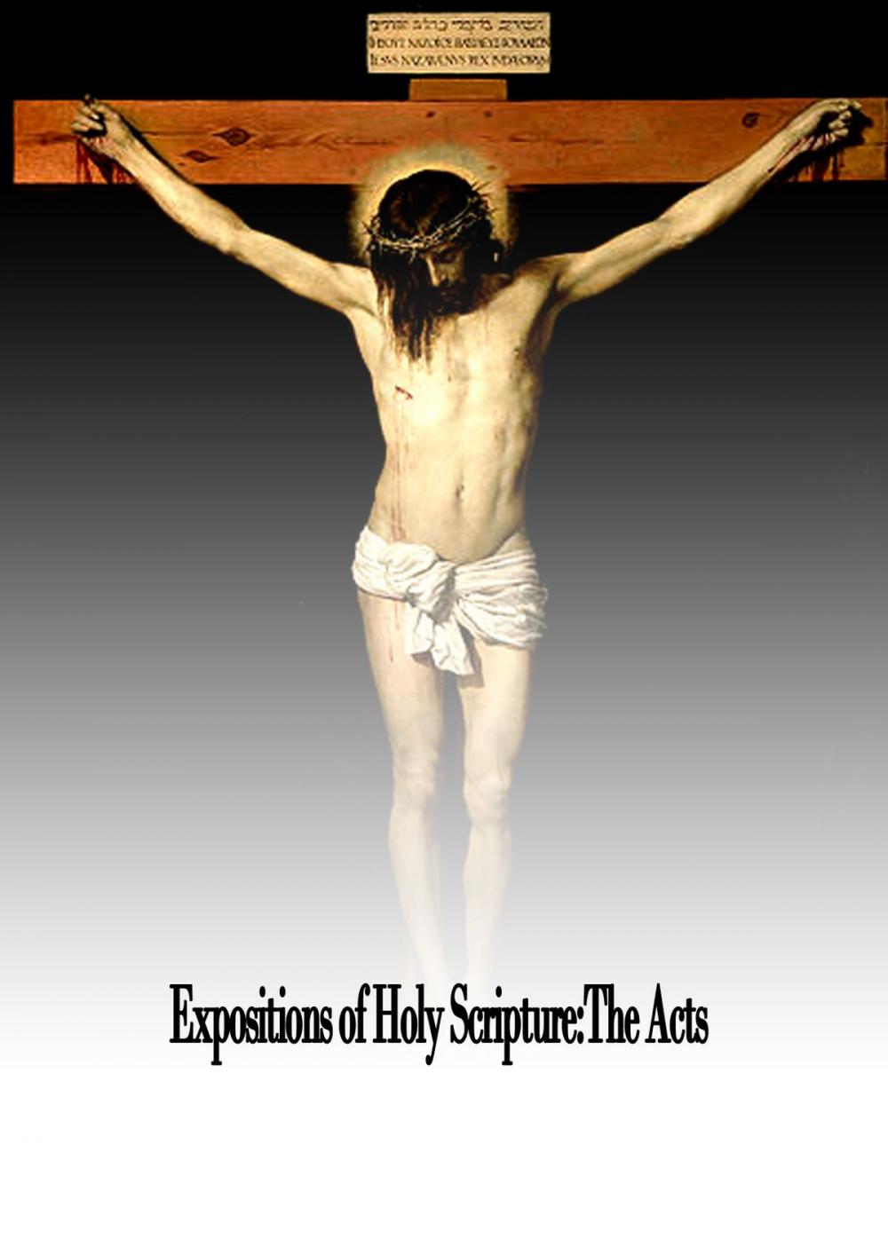 Big bigCover of Expositions of Holy Scripture:The Acts