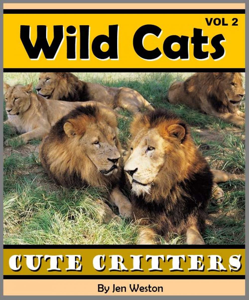 Big bigCover of Wild Cats - Volume 2