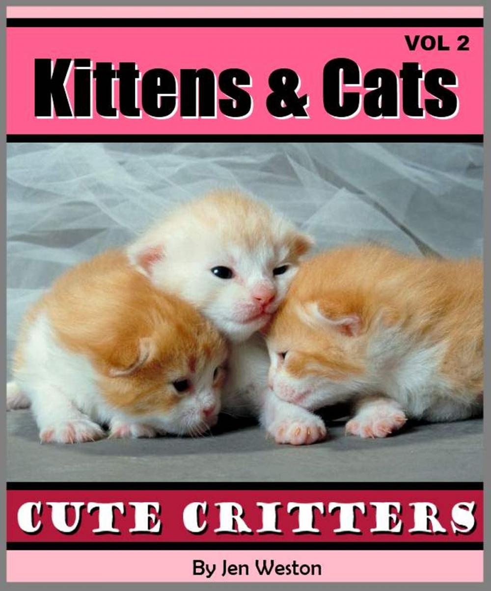 Big bigCover of Kittens & Cats - Volume 2