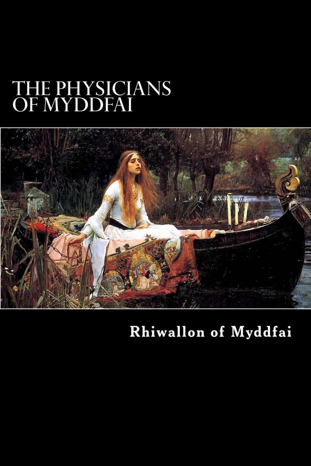 Big bigCover of The Physicians of Myddfai