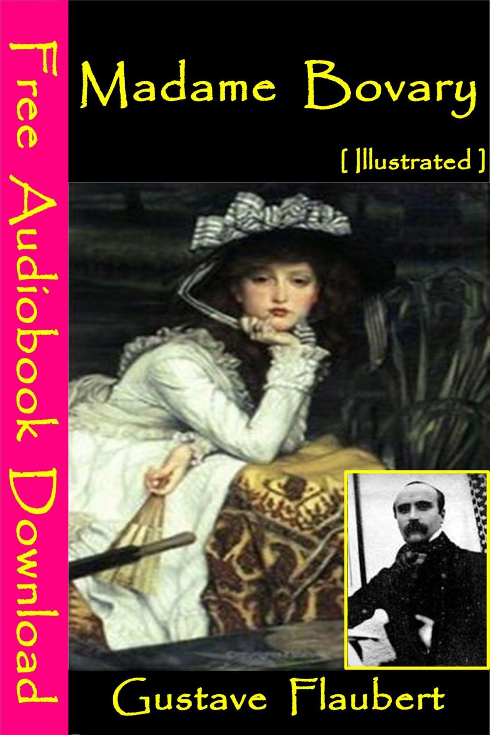 Big bigCover of Madame Bovary [ Illustrated ]