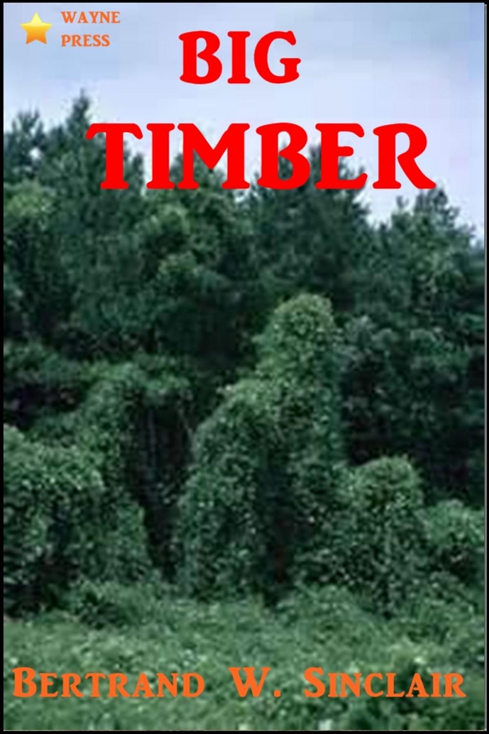 Big bigCover of Big Timber