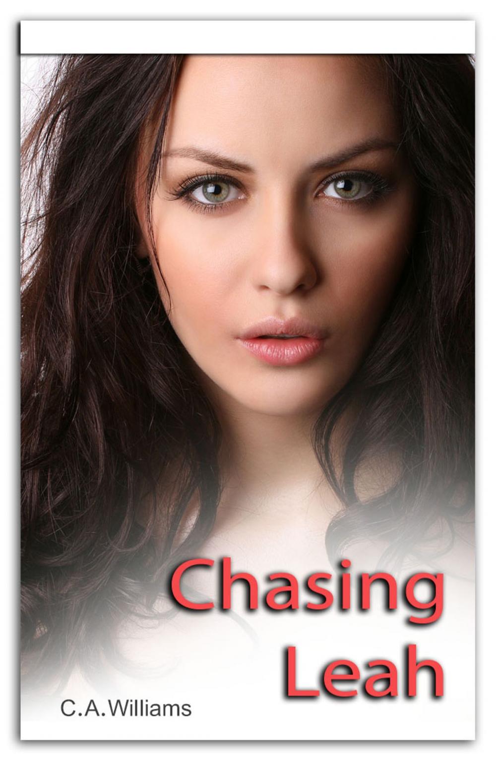 Big bigCover of Chasing Leah