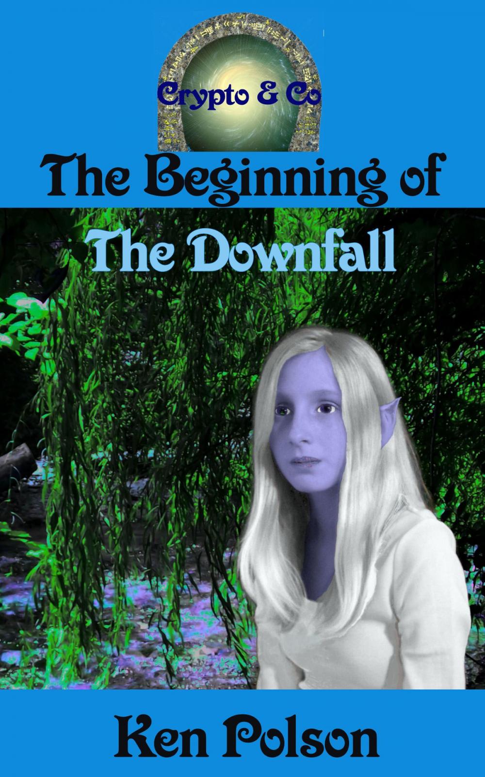 Big bigCover of The Beginning of the Downfall