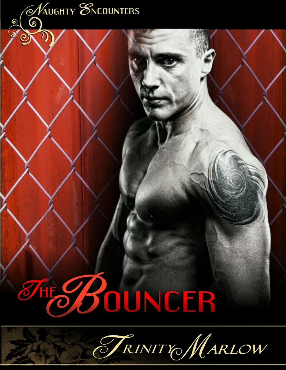 Big bigCover of The Bouncer