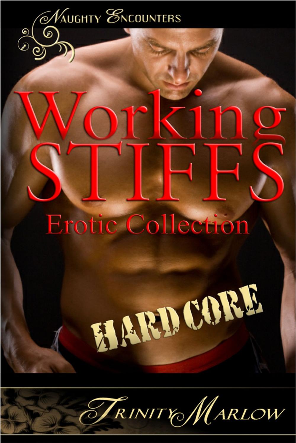 Big bigCover of Working Stiffs: Hardcore