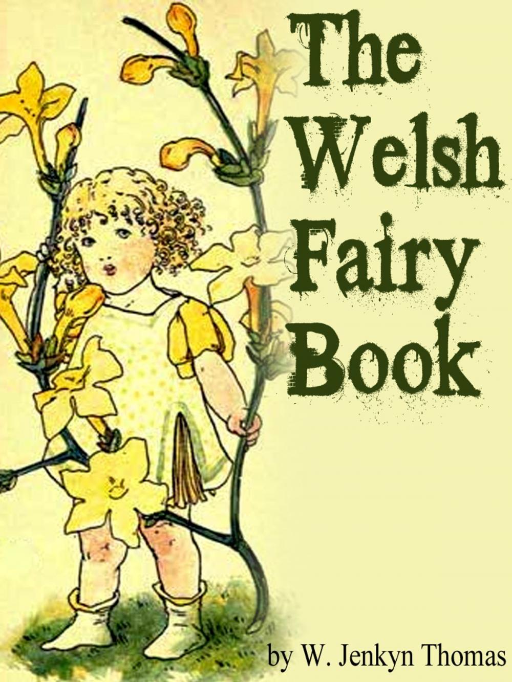 Big bigCover of The Welsh Fairy Book