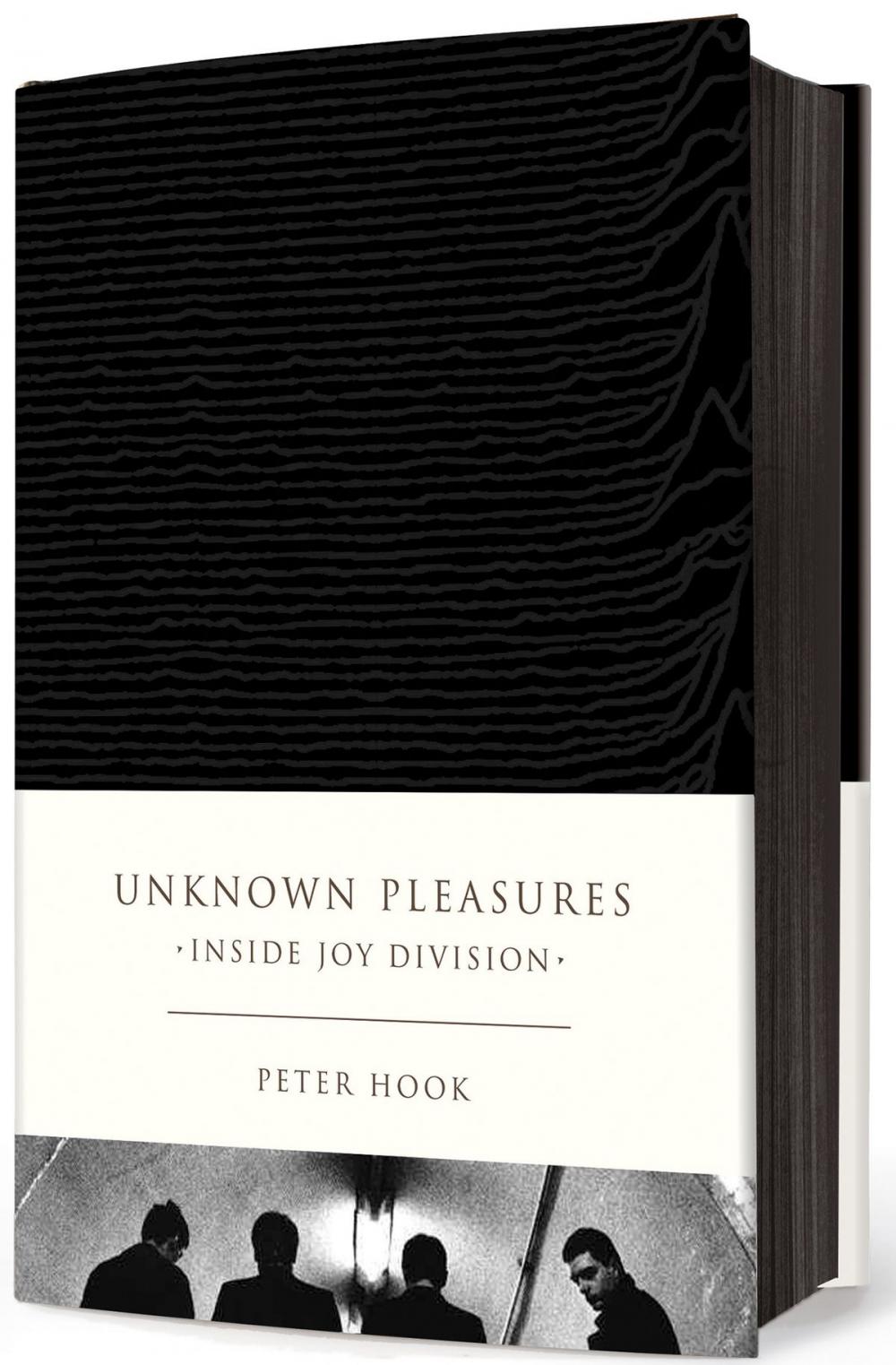 Big bigCover of Unknown Pleasures