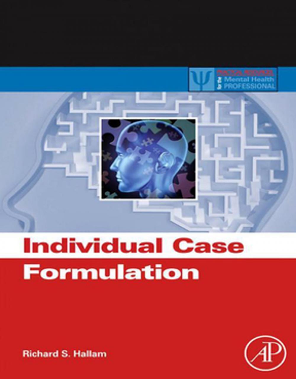 Big bigCover of Individual Case Formulation