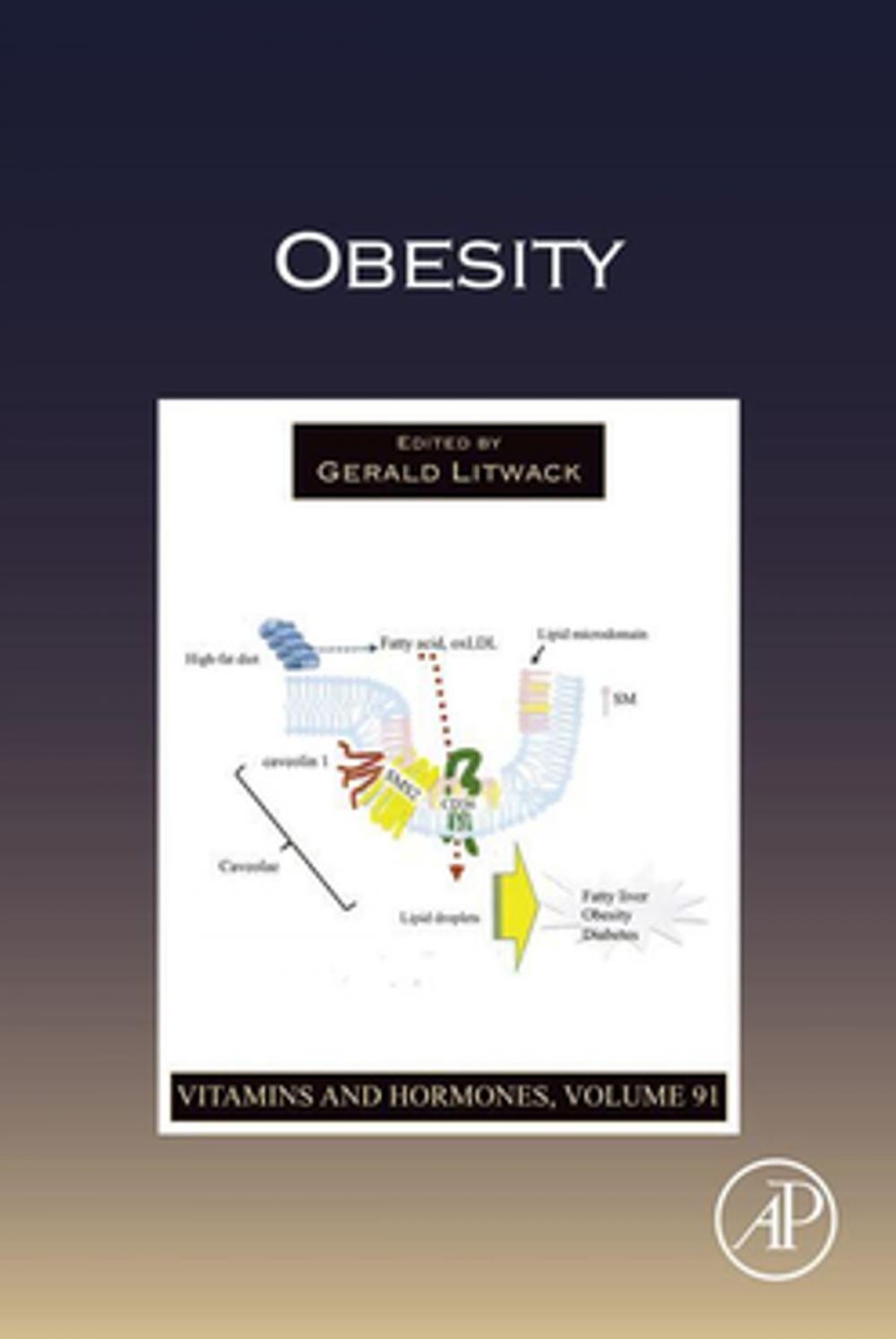 Big bigCover of Obesity