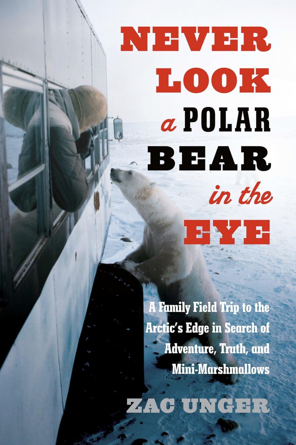 Big bigCover of Never Look a Polar Bear in the Eye