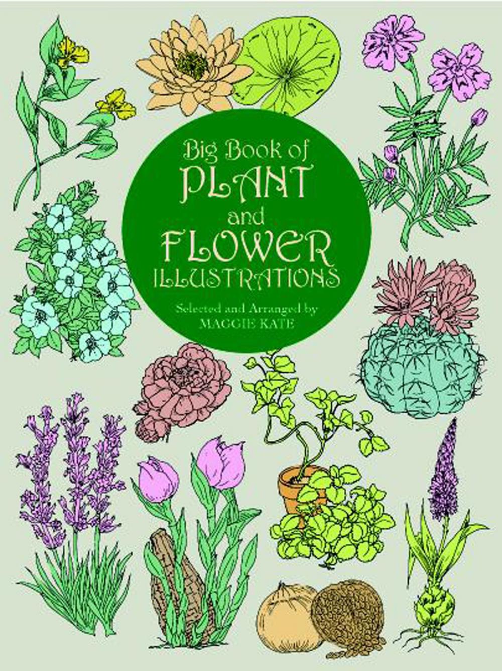 Big bigCover of Big Book of Plant and Flower Illustrations