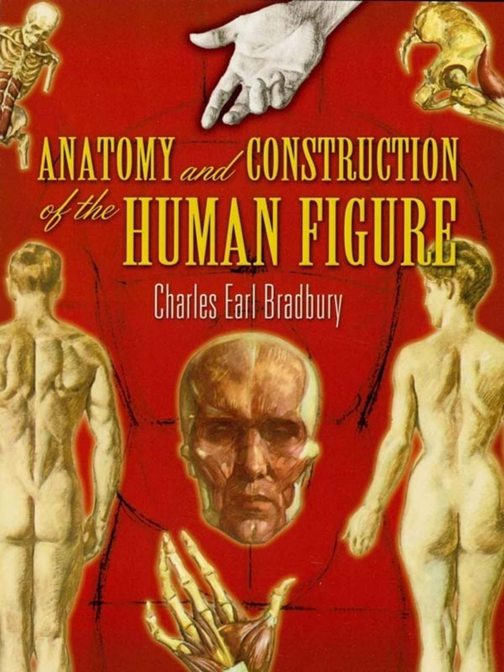 Big bigCover of Anatomy and Construction of the Human Figure