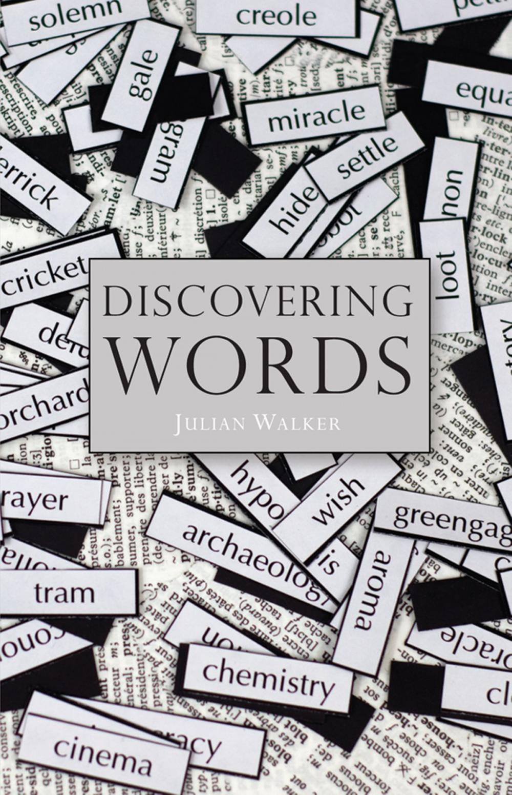 Big bigCover of Discovering Words