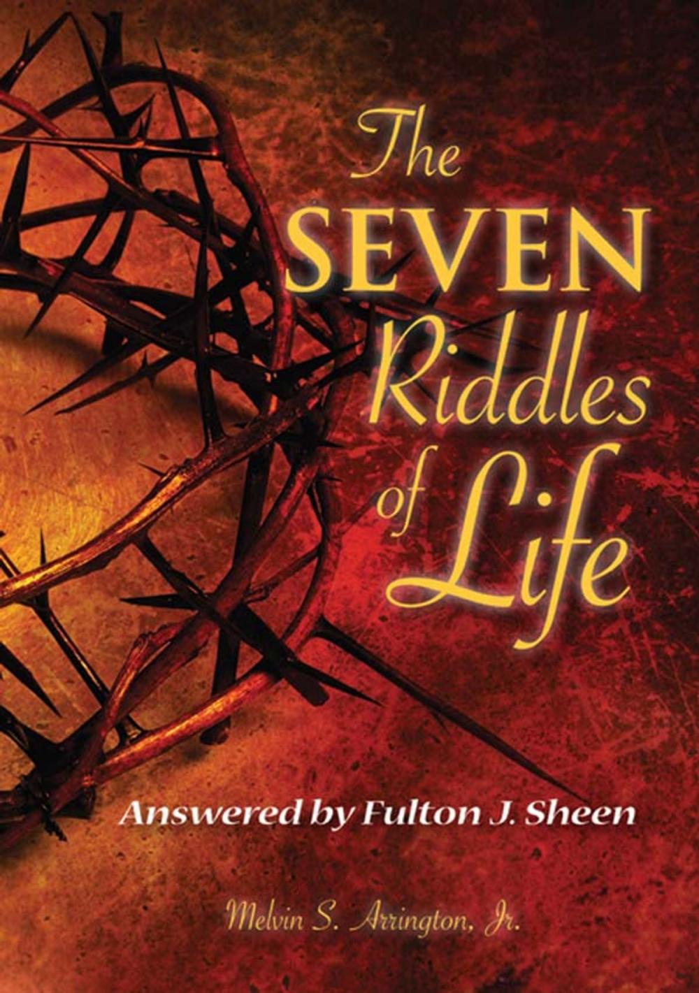 Big bigCover of The Seven Riddles of Life