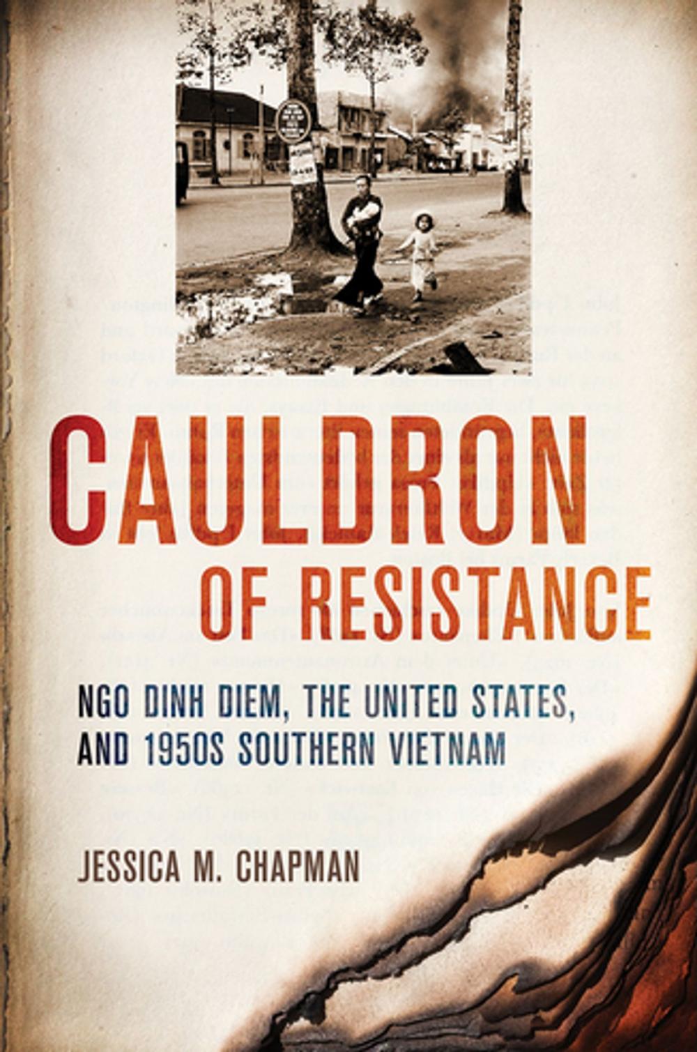 Big bigCover of Cauldron of Resistance