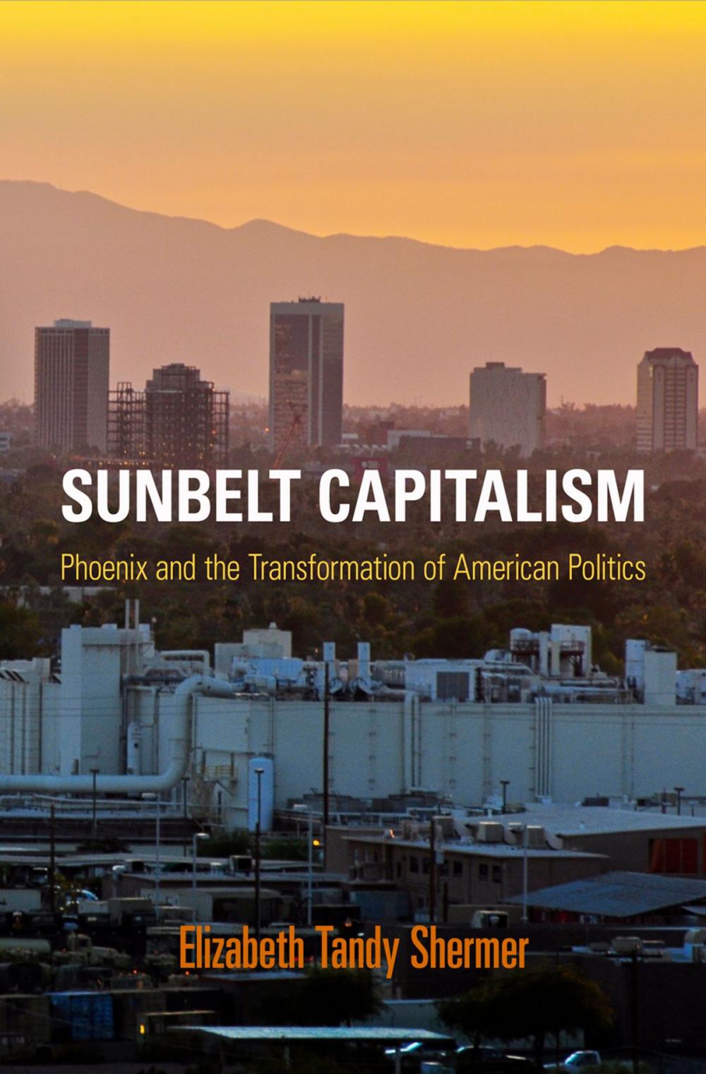 Big bigCover of Sunbelt Capitalism