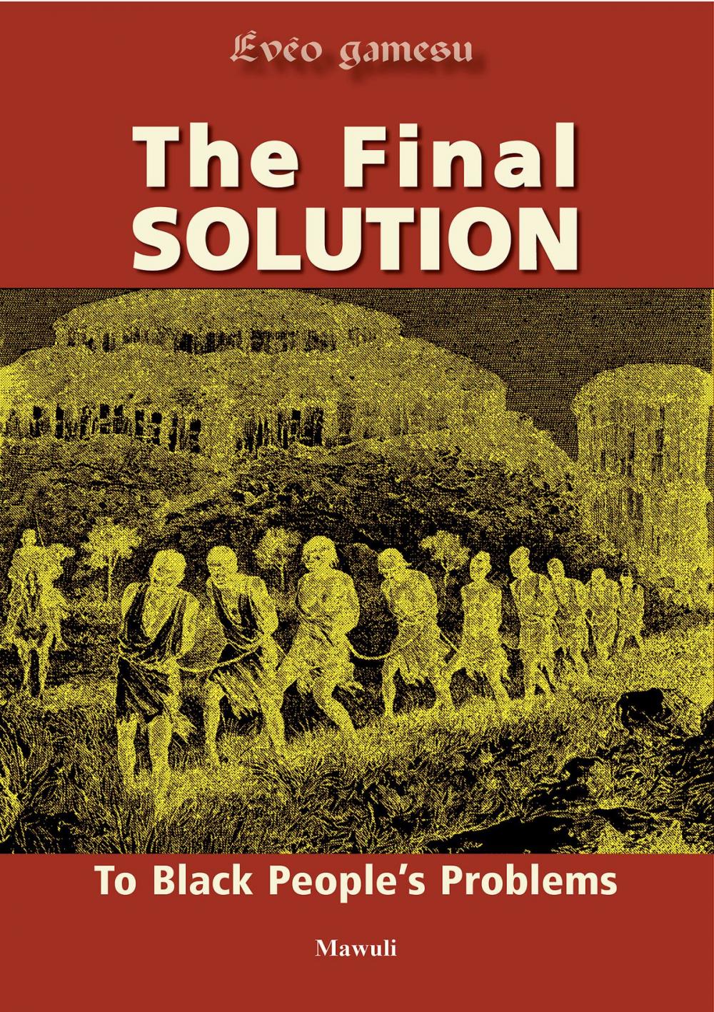 Big bigCover of The Final Solution to Black People's Problems