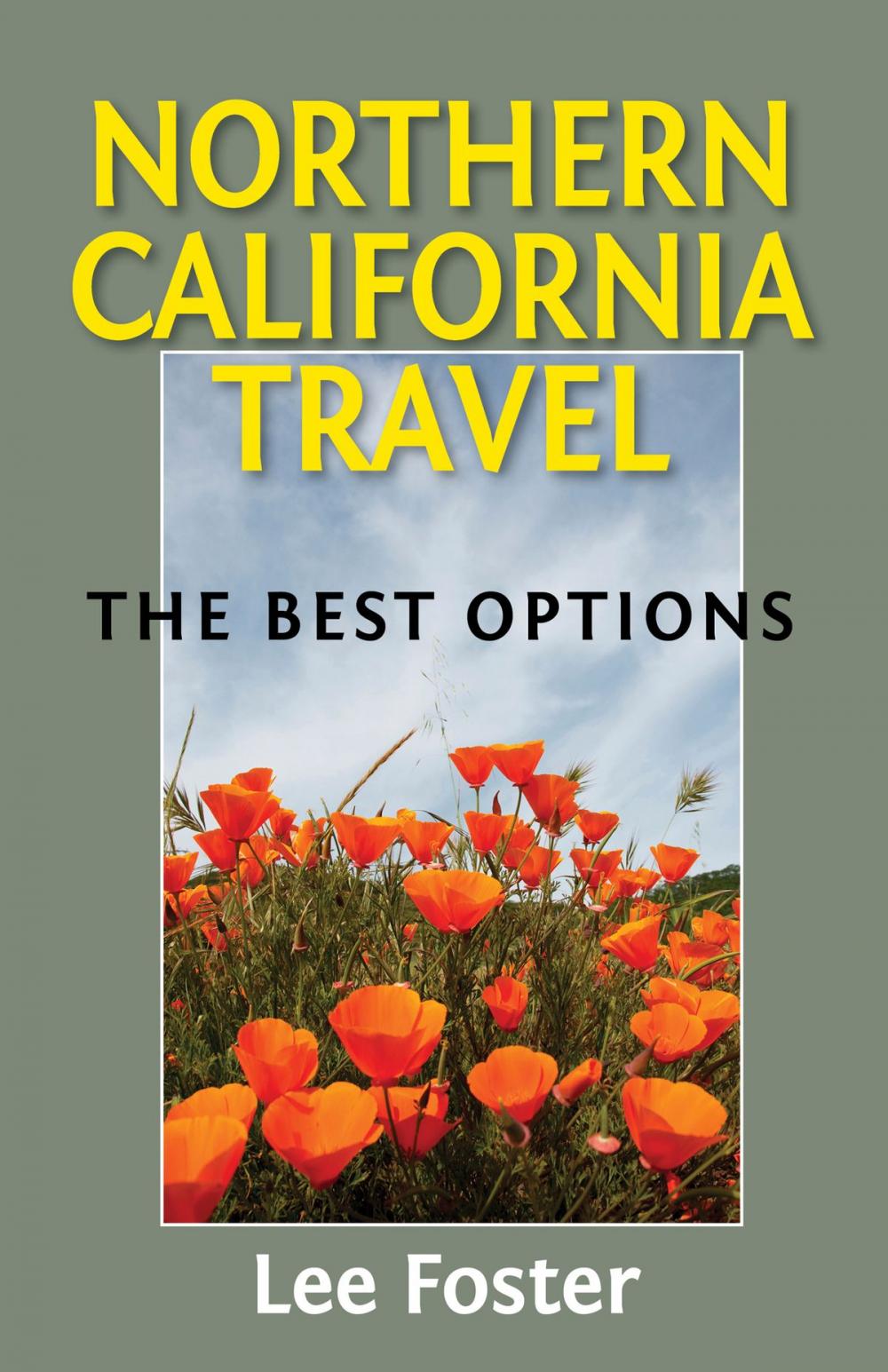 Big bigCover of Northern California Travel