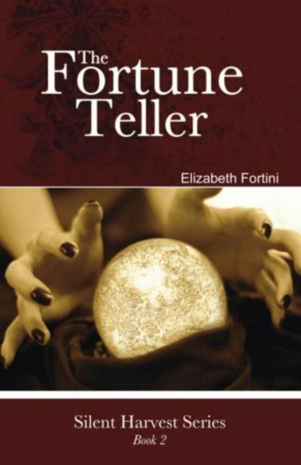 Big bigCover of The Fortune Teller