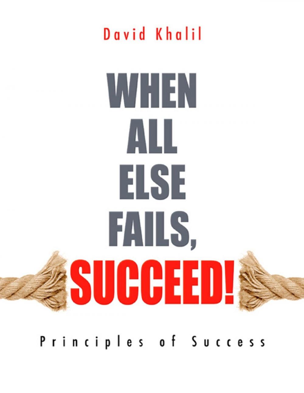 Big bigCover of When All Else Fails, Succeed!: Principles of Success